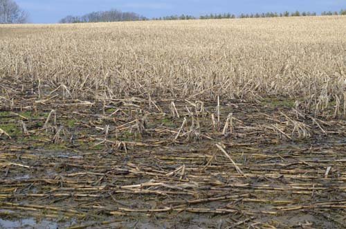 Property photo 68 - 98+/- Acres Offered in 6 Tracts or Combinations, Noble County, Indiana Farm